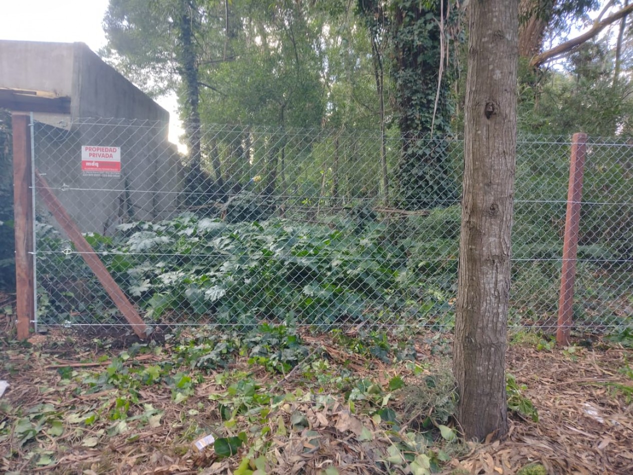 IMPORTANTE LOTE CERCADO y ARBOLADO DE 450M2-BOSQUE PERALTA RAMOS