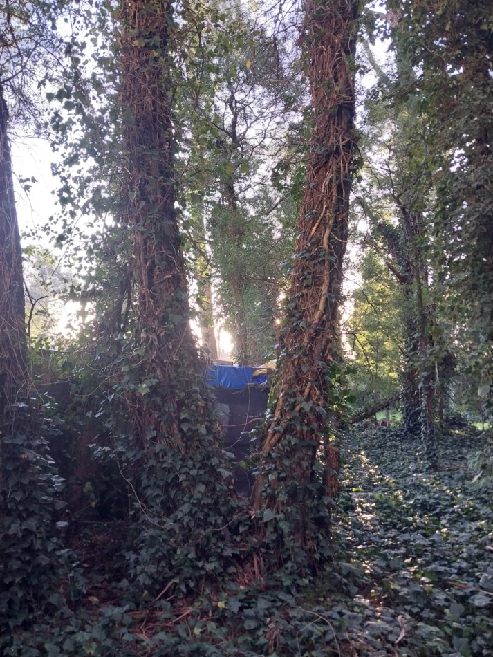 IMPORTANTE LOTE CERCADO y ARBOLADO DE 450M2-BOSQUE PERALTA RAMOS