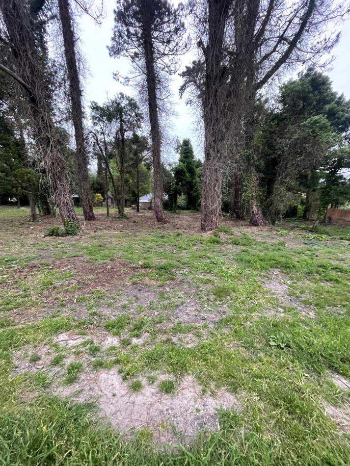 SUPER UNICOS  Y ULTIMOS  2 LOTES SOBRE CALLE DIAGONAL NORTE - BOSQUE PERALTA RAMOS