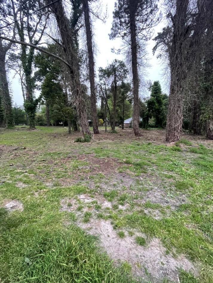 SUPER UNICOS  Y ULTIMOS  2 LOTES SOBRE CALLE DIAGONAL NORTE - BOSQUE PERALTA RAMOS