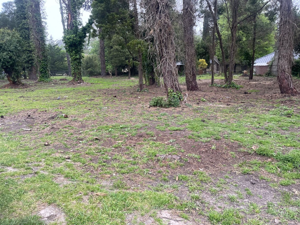 SUPER UNICOS  Y ULTIMOS  2 LOTES SOBRE CALLE DIAGONAL NORTE - BOSQUE PERALTA RAMOS