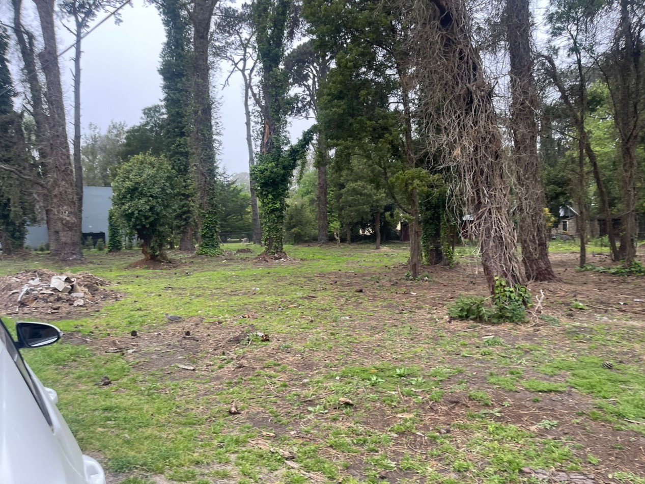 SUPER UNICOS  Y ULTIMOS  2 LOTES SOBRE CALLE DIAGONAL NORTE - BOSQUE PERALTA RAMOS