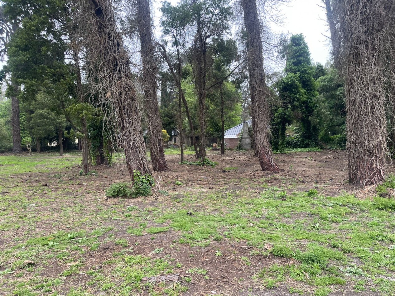 SUPER UNICOS  Y ULTIMOS  2 LOTES SOBRE CALLE DIAGONAL NORTE - BOSQUE PERALTA RAMOS