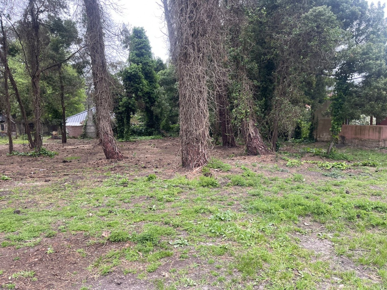 SUPER UNICOS  Y ULTIMOS  2 LOTES SOBRE CALLE DIAGONAL NORTE - BOSQUE PERALTA RAMOS