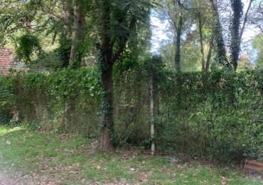 LOTE -BOSQUE PERALTA RAMOS 