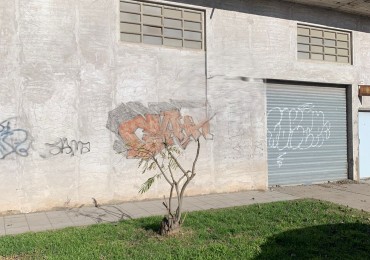  FINANCIACION  PROPIA A RECICLAR  GALPON CON VIVIENDA DE 3 AMB. -A 200 METROS  DEL GAUCHO 