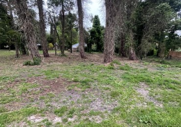 SUPER UNICOS  Y ULTIMOS  2 LOTES SOBRE CALLE DIAGONAL NORTE - BOSQUE PERALTA RAMOS 