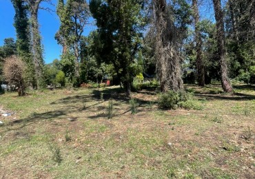 LOTE DOBLE  SUP. 961 M2 . ( puede venderse en forma individual un lote )  SOBRE DIAGONAL NORTE calle asfaltada MZA 214 LOTES 6 Y 7  -BOSQUE PERALTA RAMOS 